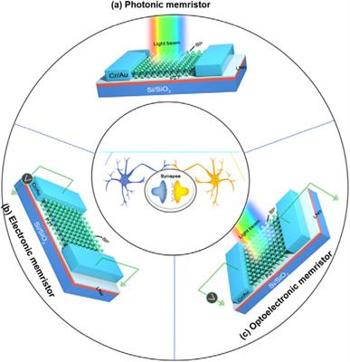 Overview of Memristor-Based Neural Network Design and Applications